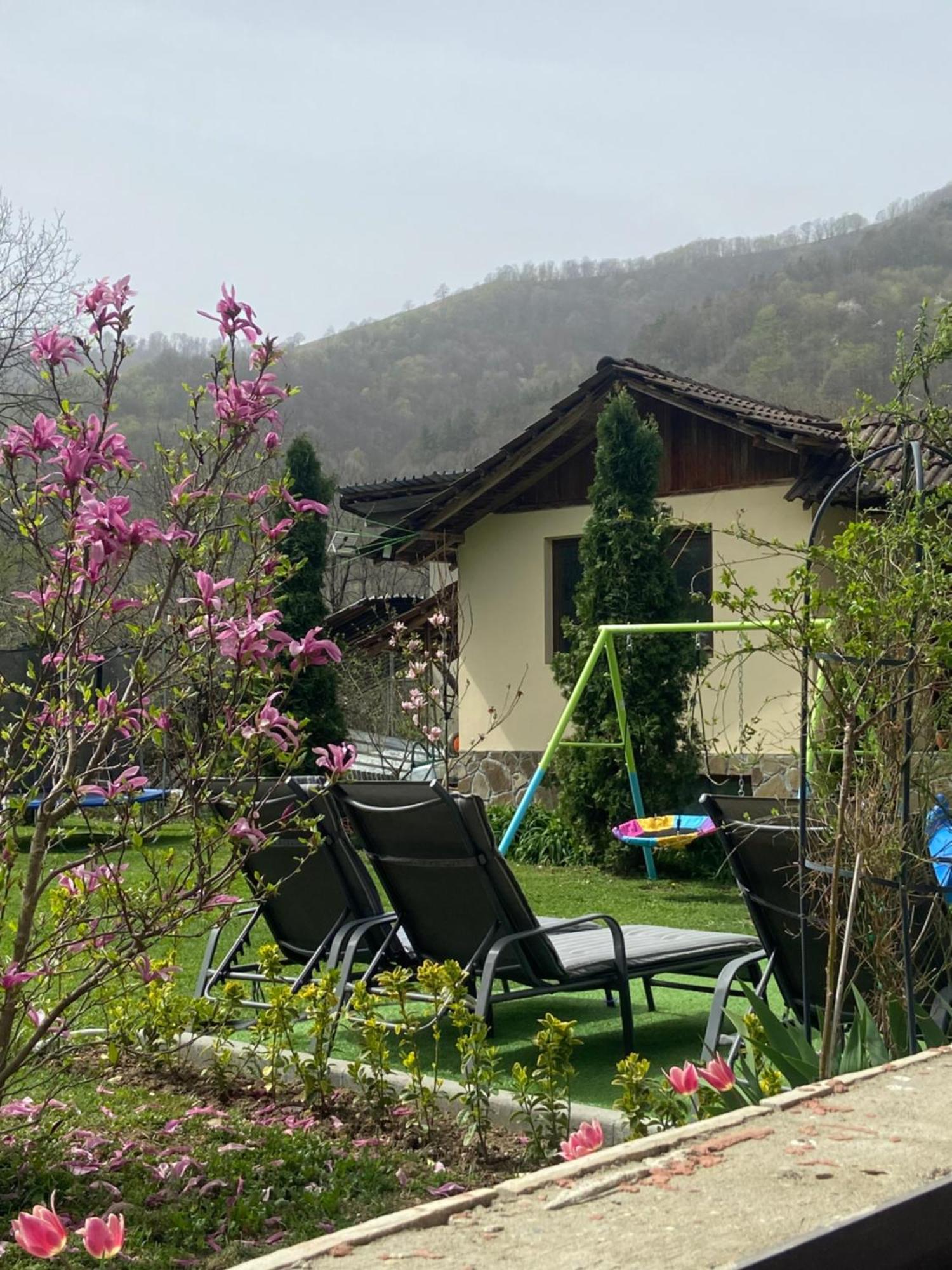 Guest House Rest Cherni Osum Exteriér fotografie